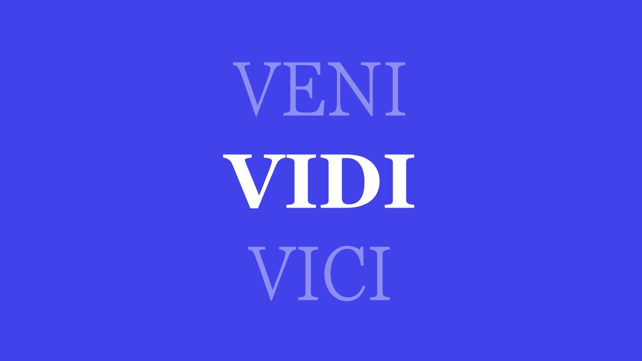 NWO Vidi E-learning Trajectory